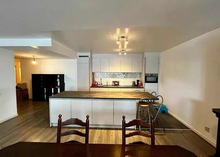 Big Apartment With Parking In Antwerp